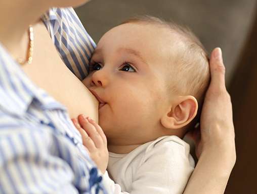 salus-floradix-stillend salus-floradix-stillend